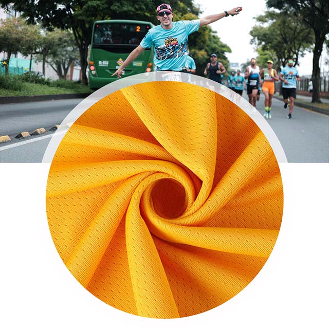 Polyester Mesh Fabric